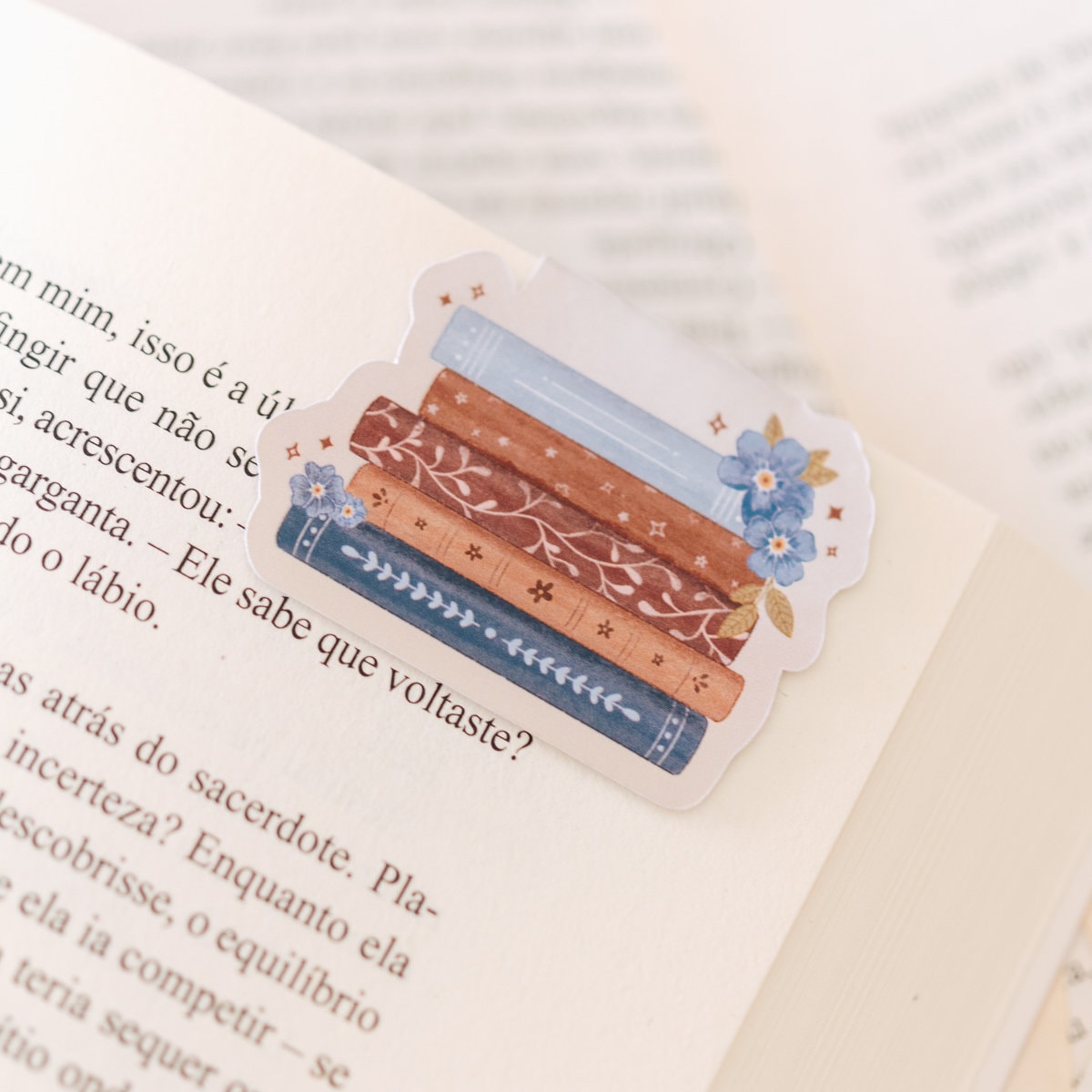 Marcador magnético Pilha de Livros